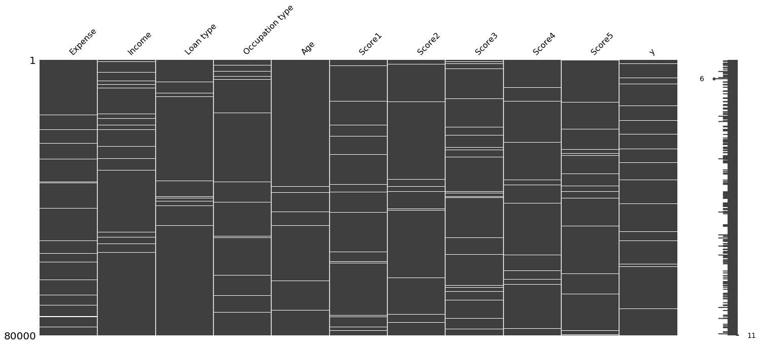 Visualization of missing values in the initial dataset. White horizontal bars indicate missing values.